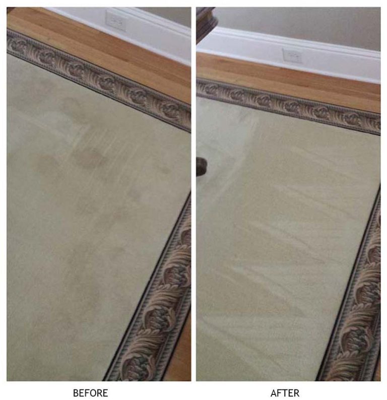 Professional Atlanta Carpet Cleaner Hughes Dry Carpet