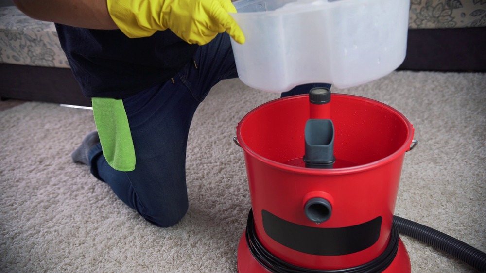 carpet cleaner